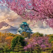 Thành Osaka có gì đặc biệt? Biểu tượng thành cổ văn hóa của nước Nhật